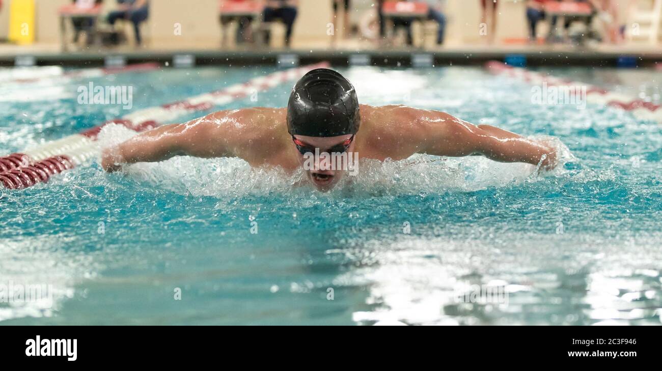 A young male swimmer swims the butterfly at a swimming meet Stock Photo