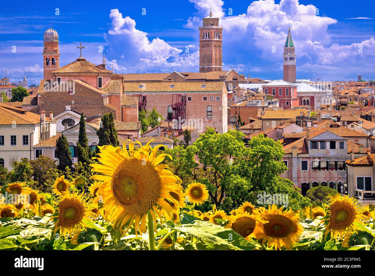 Skyline and rooftops of Venice view from sunflower terrace Stock Photo