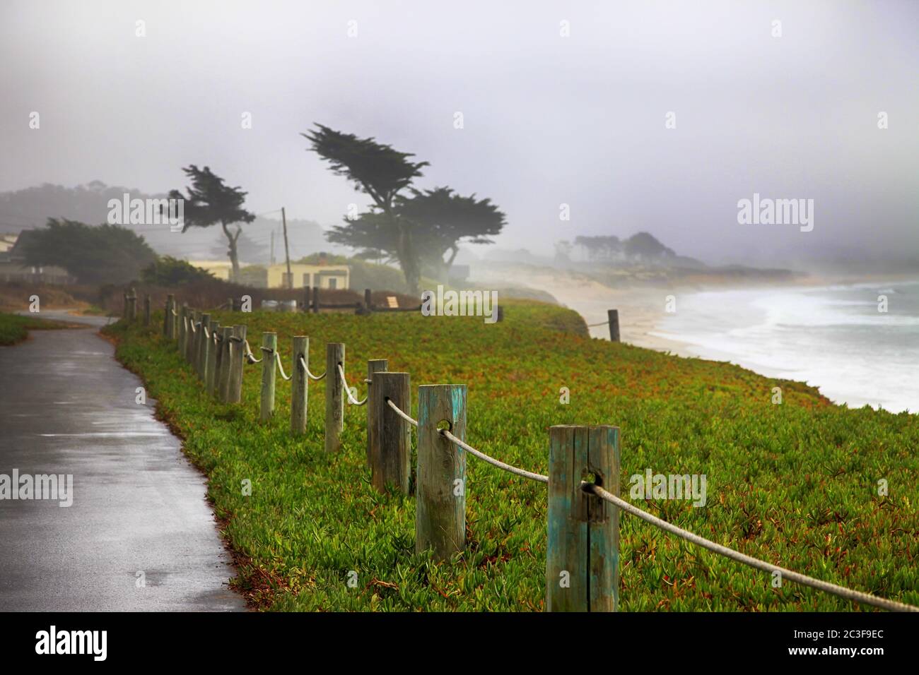 Foggy morning in California. USA, Half Moon Bay Stock Photo