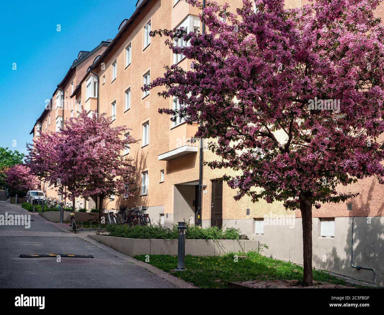 apartment buildings exterior with spring tree and flower Stock Photo ...