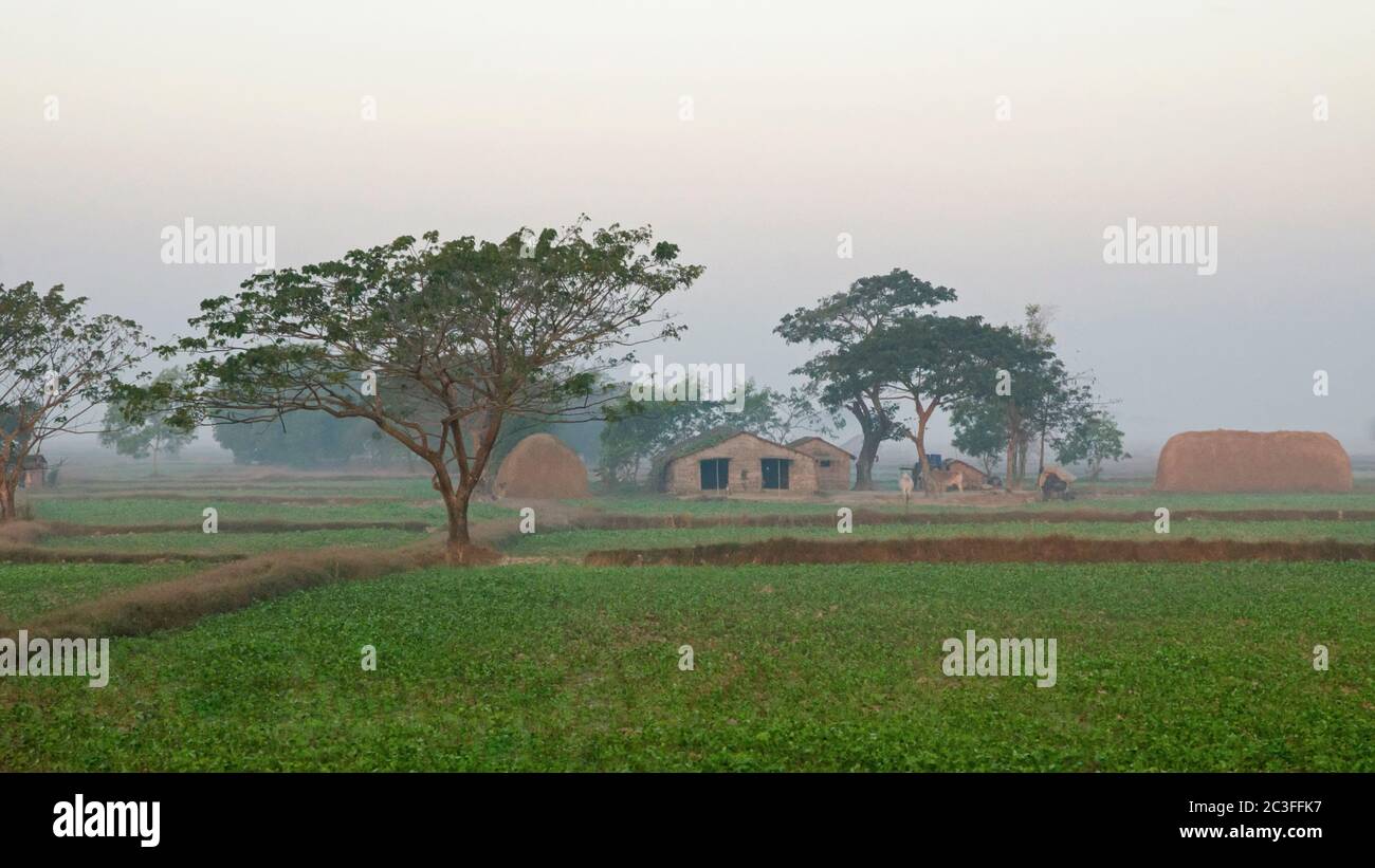 Hut Myanmar Stock Photo