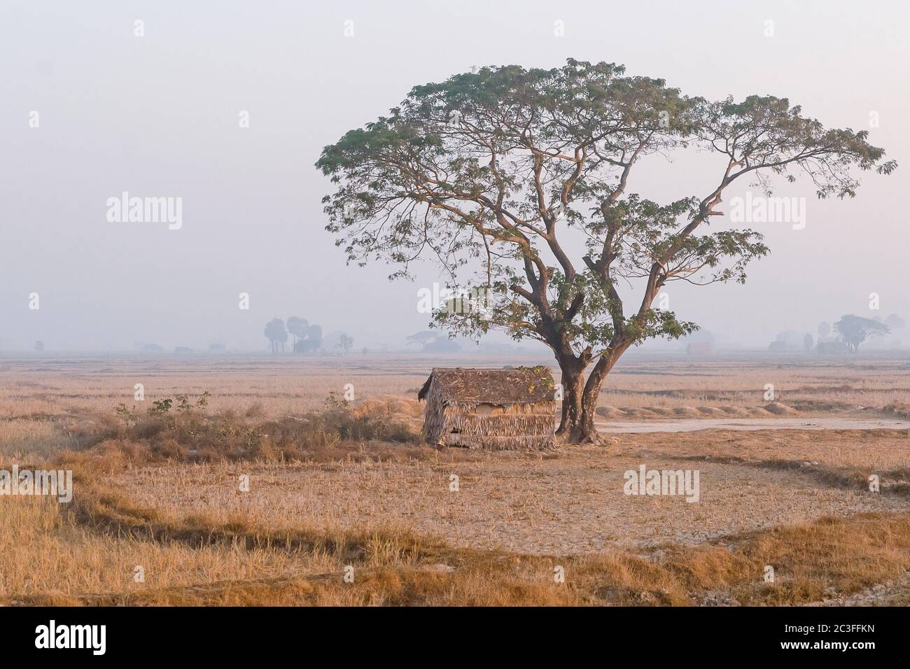 Poor hut in the morning light. Myanmar Burma Stock Photo
