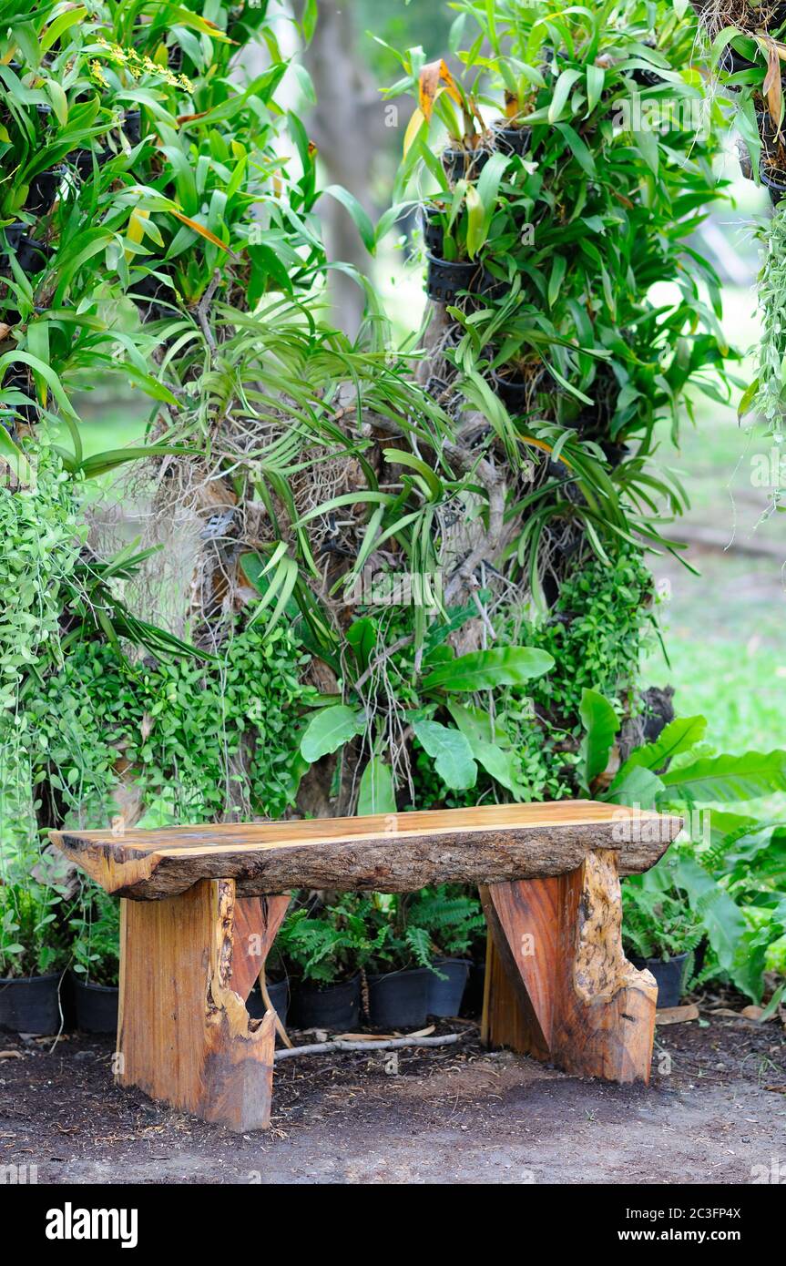 Acacia wood hires stock photography and images Alamy