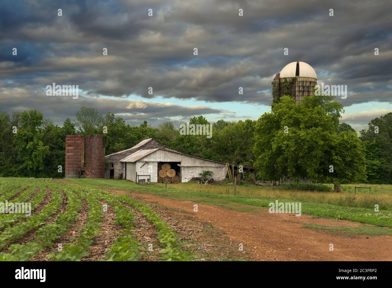 farm with silos and dirt roat with crops on stormy day with dark clouds Stock Photo