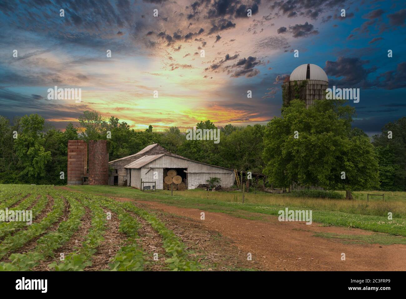farm with silos and dirt roat with crops at sunset iwth beautiful skies Stock Photo