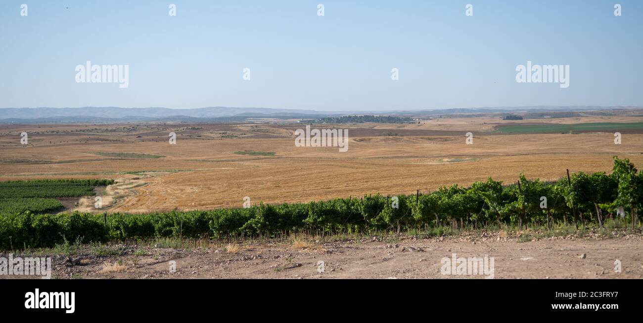 Typical Southern Israel landscape image Stock Photo