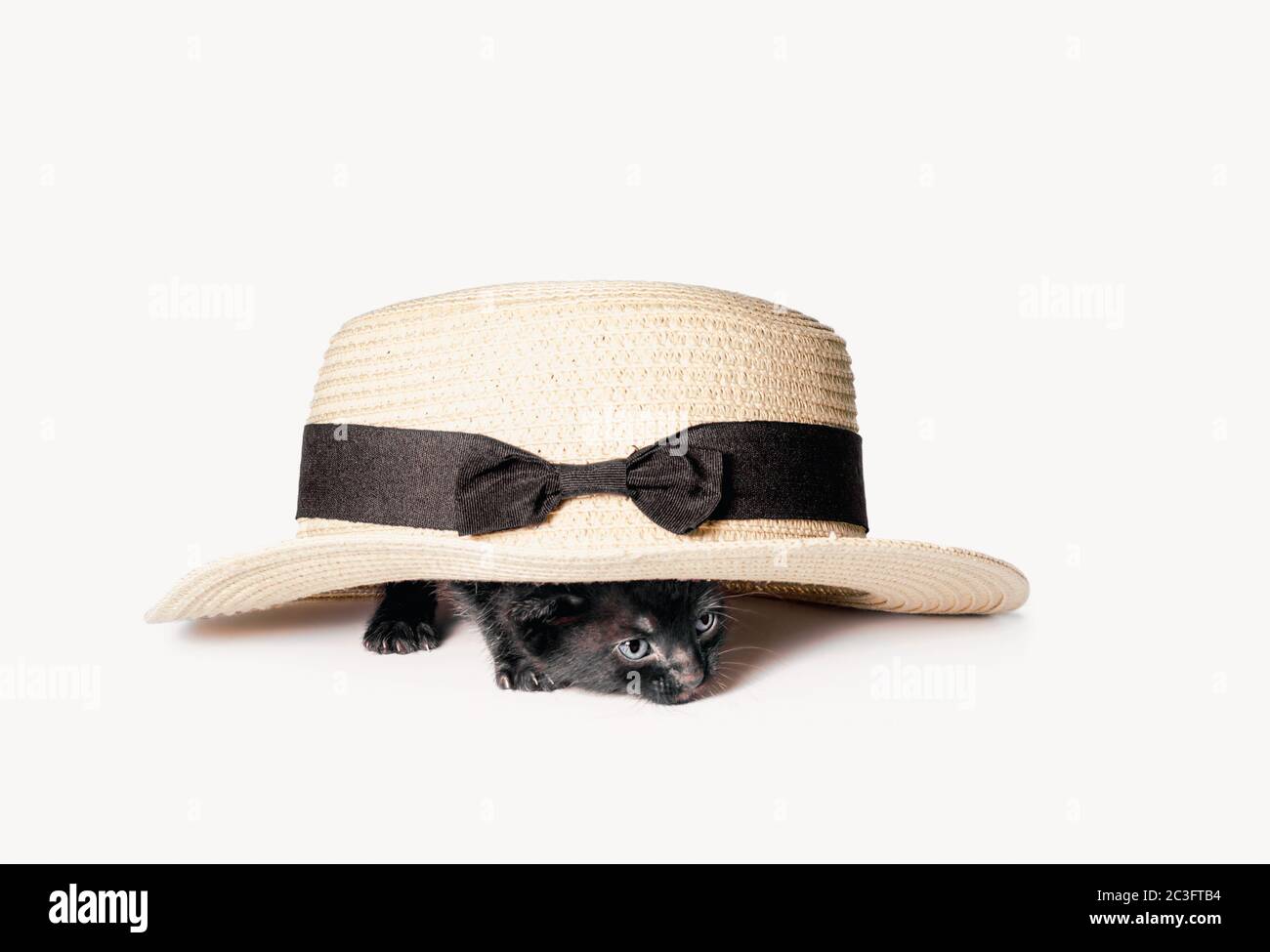 little black kitten is hiding and looking out from under a vintage hat Stock Photo