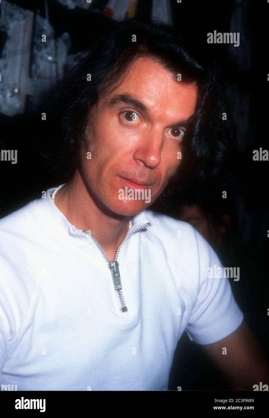 West Hollywood, California, USA 12th October 1995 Singer/musician David ...