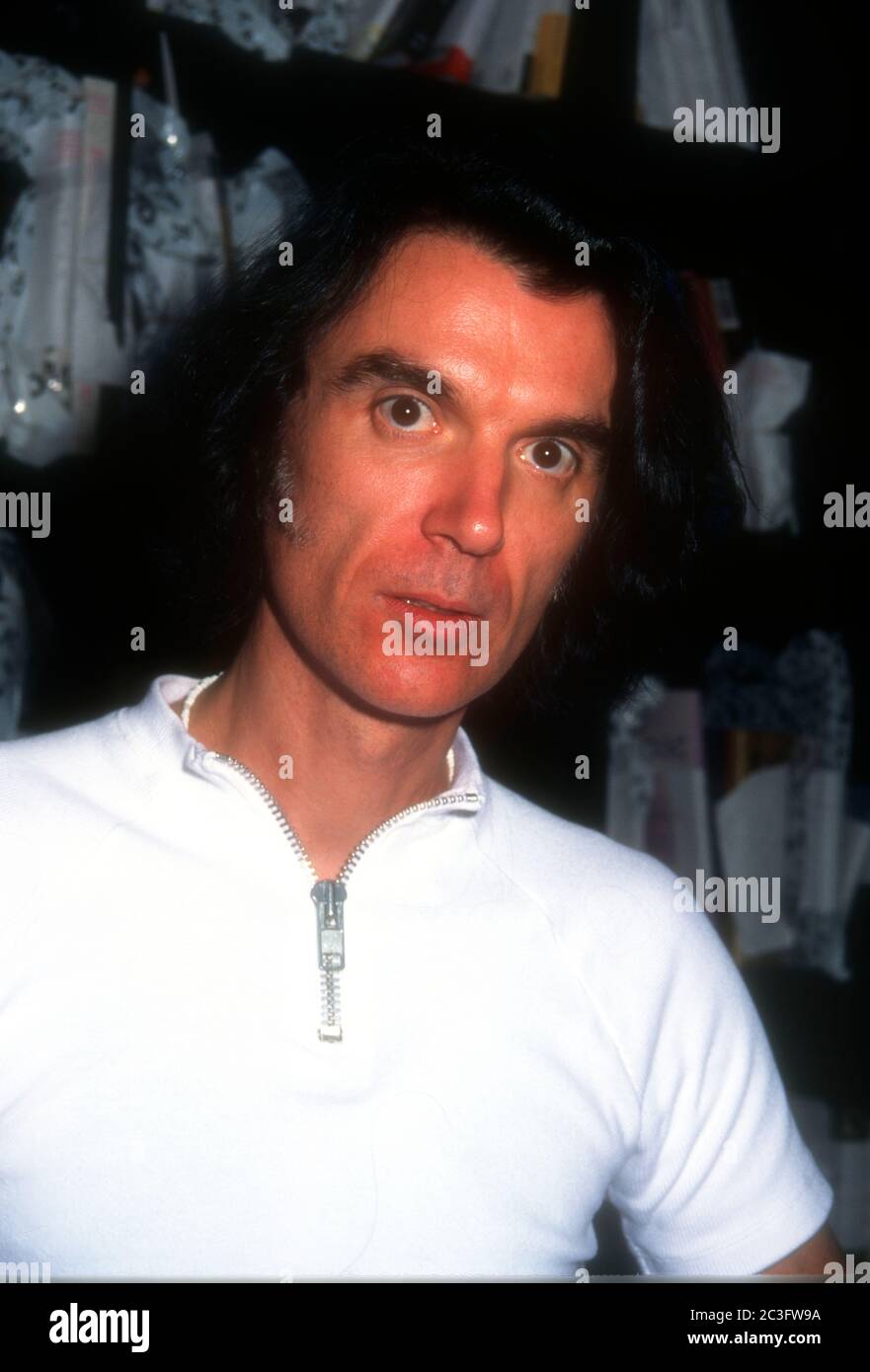West Hollywood, California, USA 12th October 1995 Singer/musician David ...