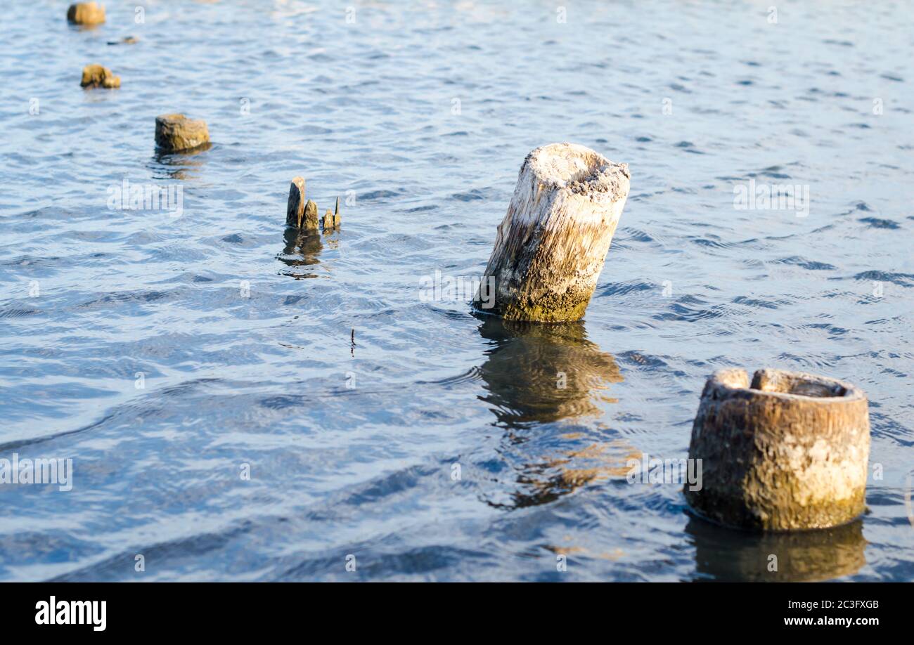 wooden posts in blue water Stock Photo Alamy