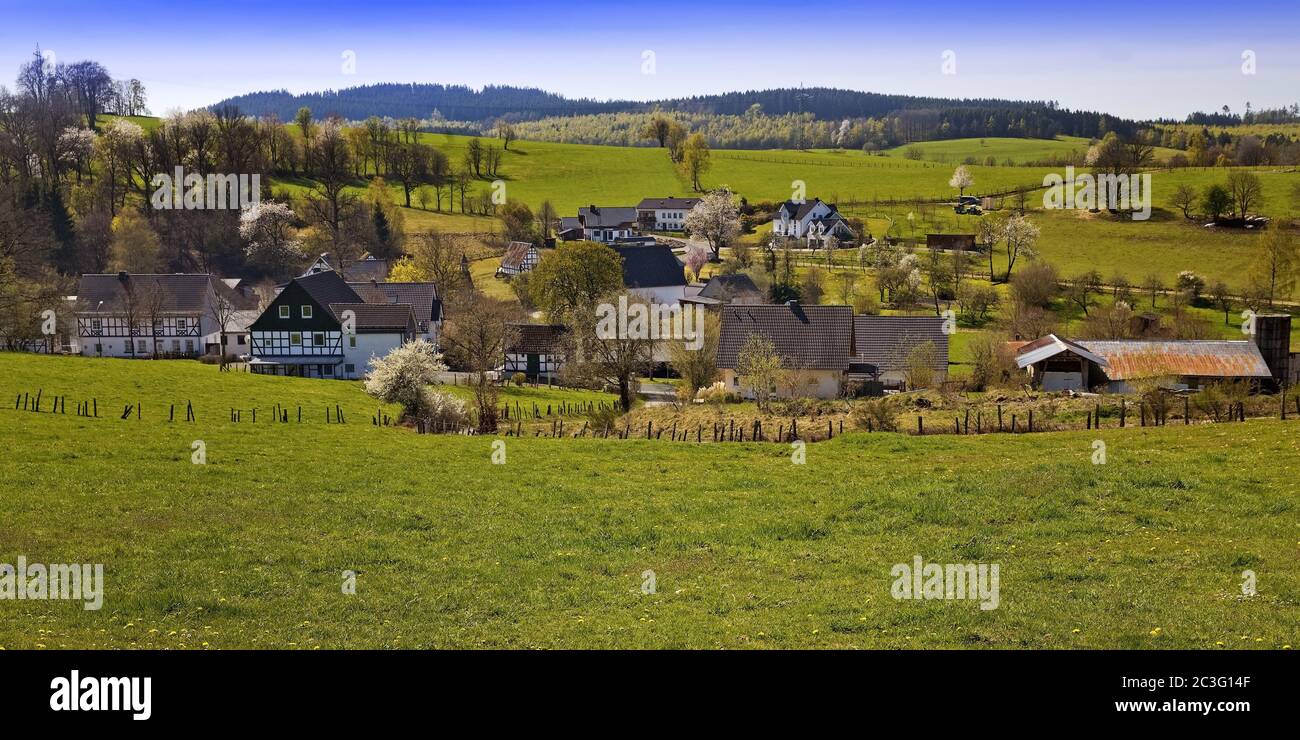 Picture of Olpe