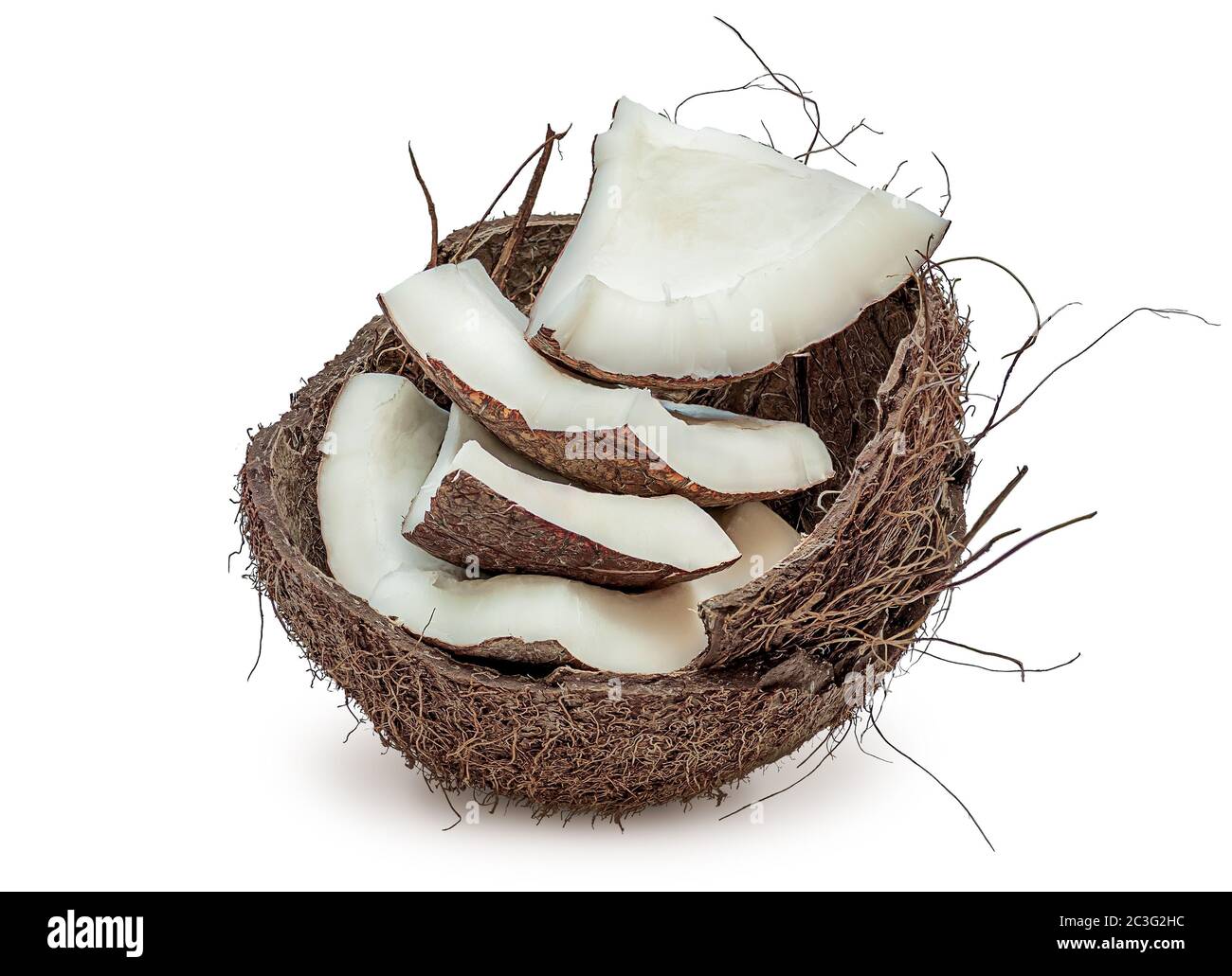 Closeup coconut pulp in shell Stock Photo