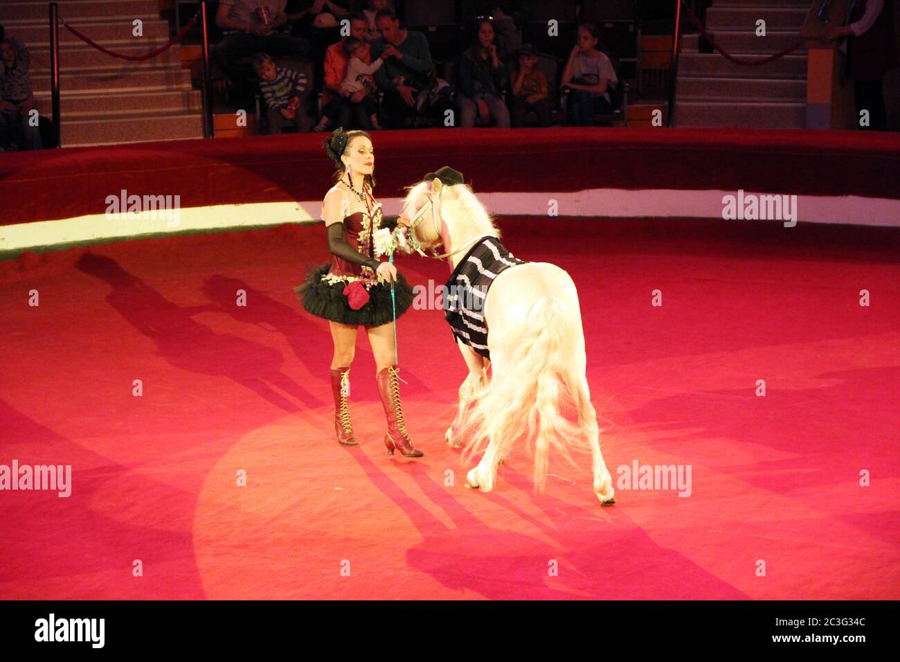 Animal trainer performing together with little horses in circus Stock Photo
