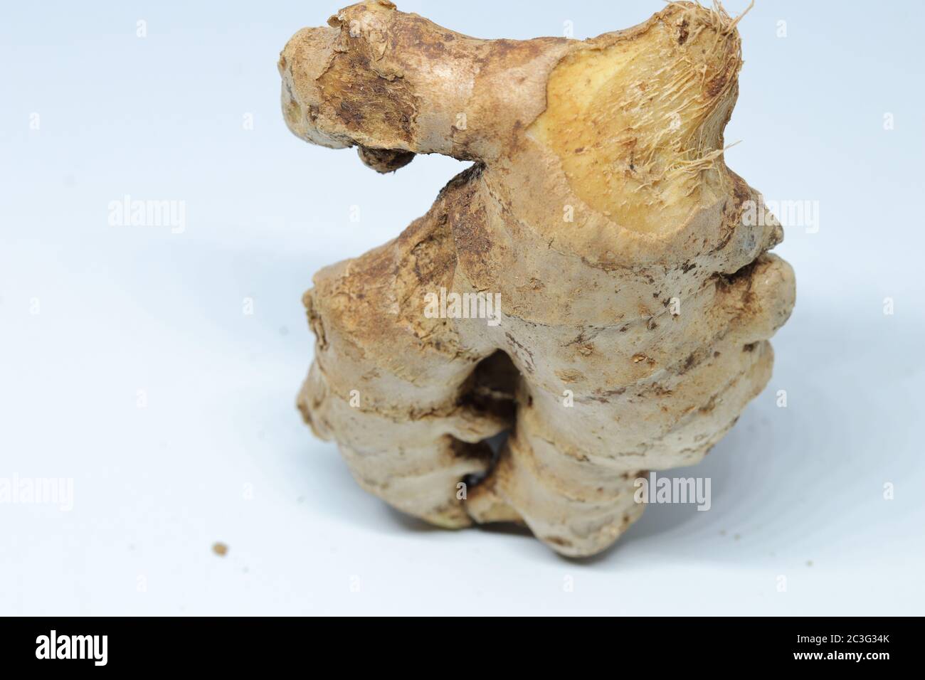 fresh ginger isolated on white background Stock Photo
