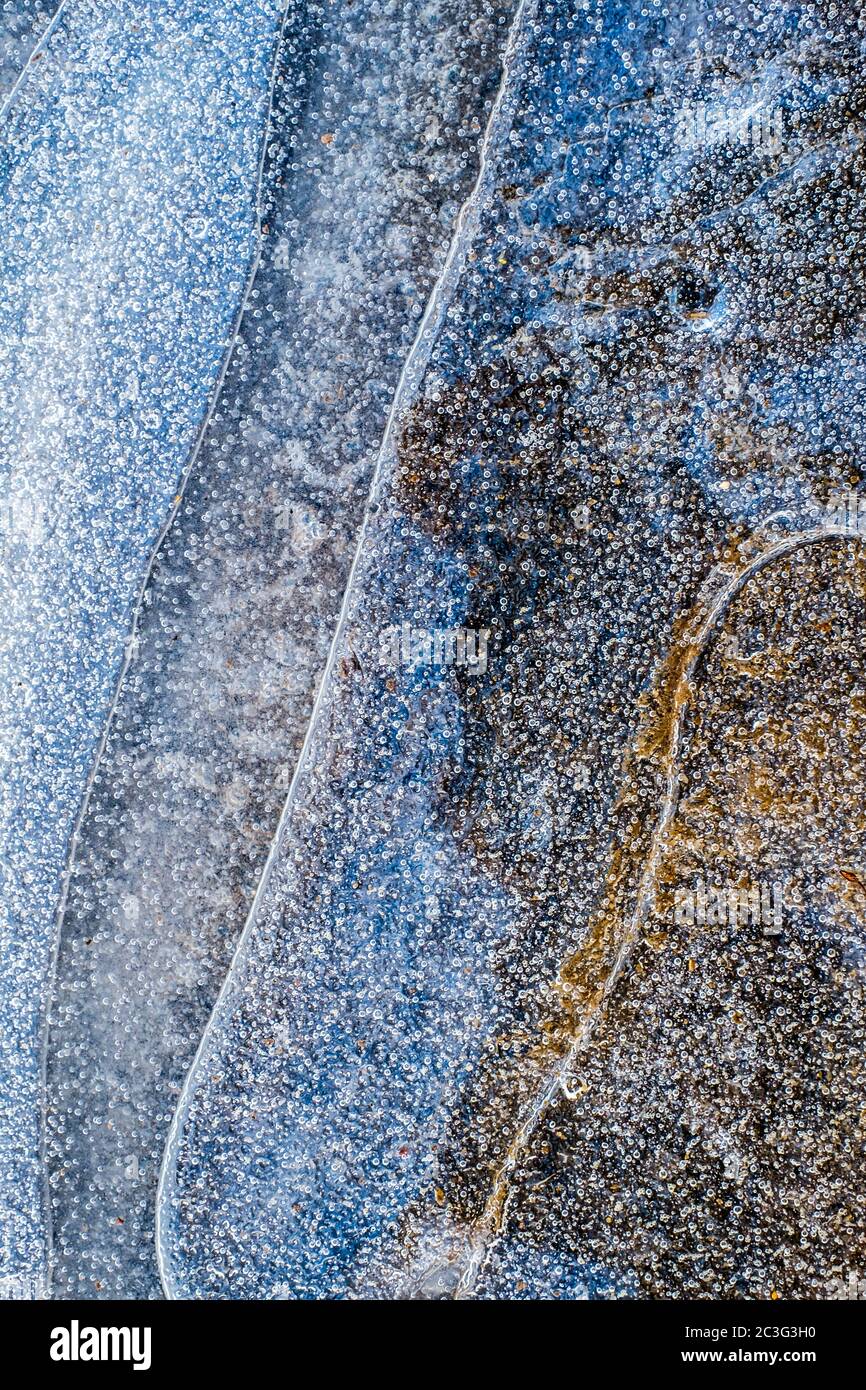 Air bubbles in thin ice Stock Photo