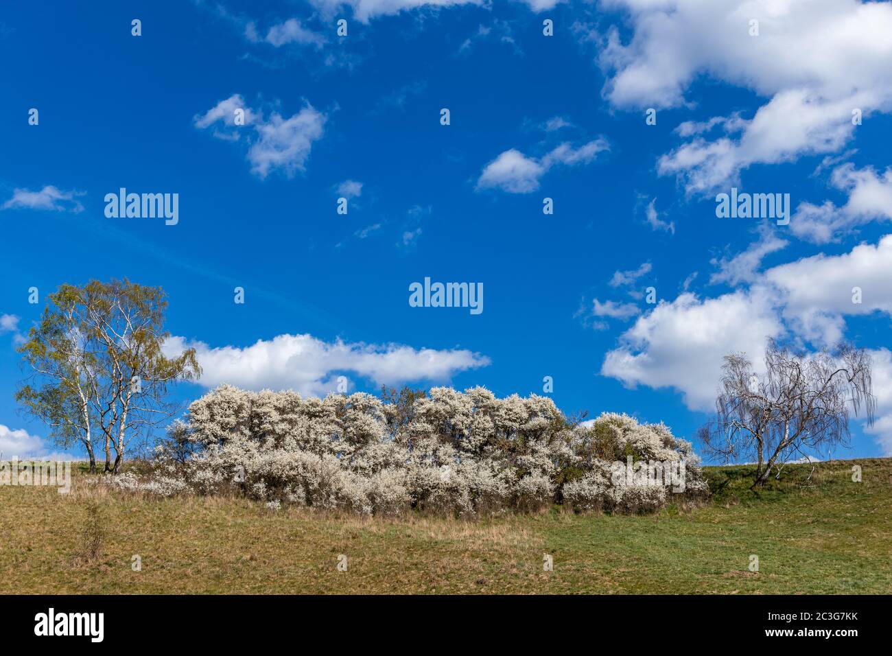 Stock Spring Landscape Spring landscapes hi-res stock photography and images - Alamy