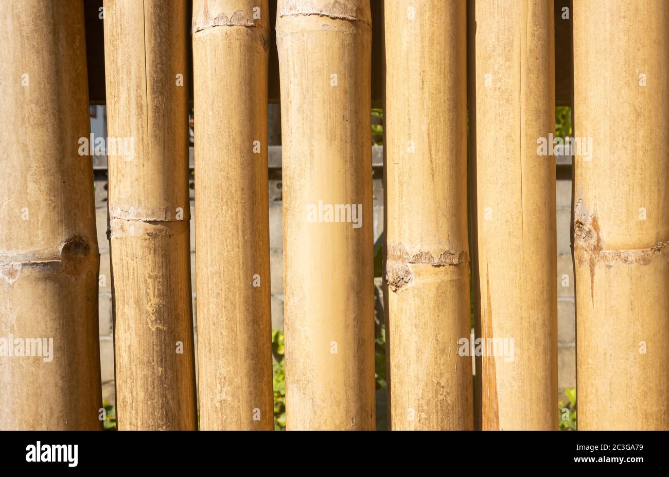 Bamboo Texture Background With Outdoor Warm Natural Light Stock Photo Alamy