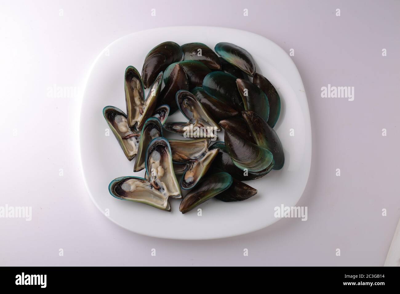 Kerala raw Mussels,kerala raw shell fishes arranged in a white plate with white texture or background Stock Photo