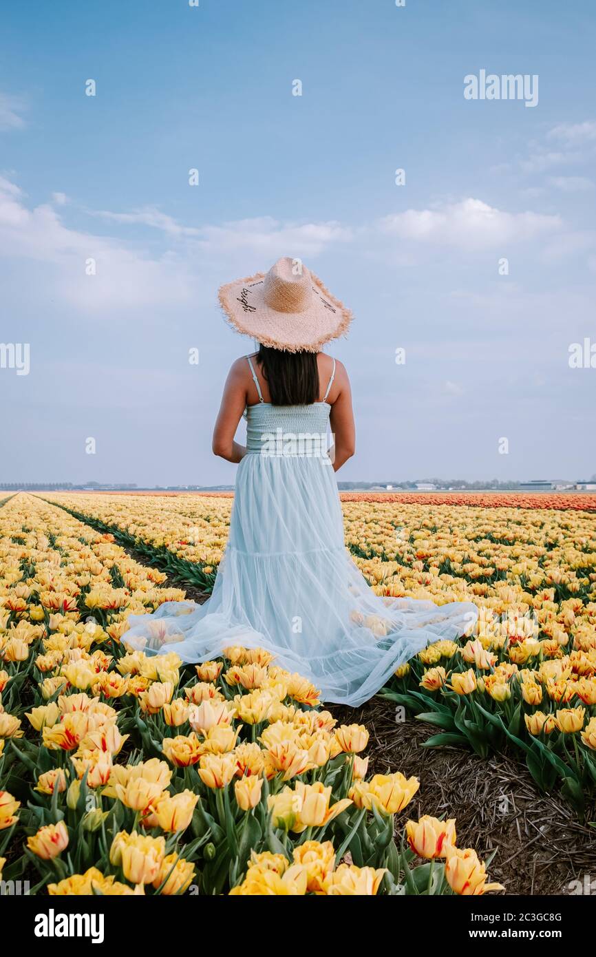 couple men and woman in flower field in the Netherlands during Spring, orange red tulips field near Noordoostpolder Flevoland Ne Stock Photo