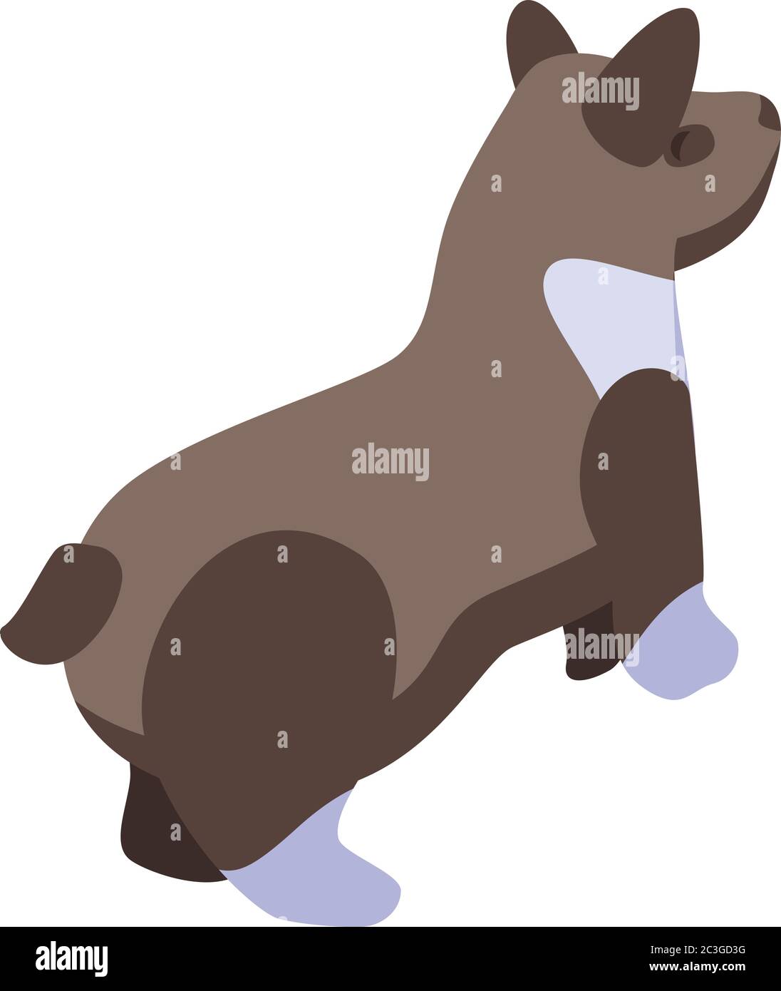 Brown corgi dog icon, isometric style Stock Vector