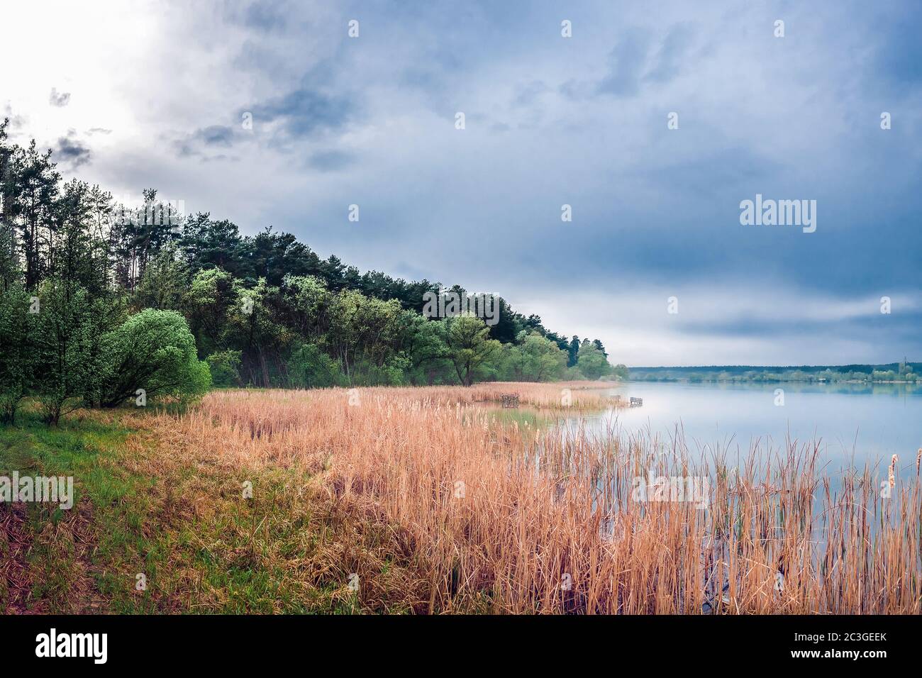 panoramic view of the forest on the lake and scirpus in the fog with thunderous blue clouds. Pond 15, known as the fifth glade. Stock Photo