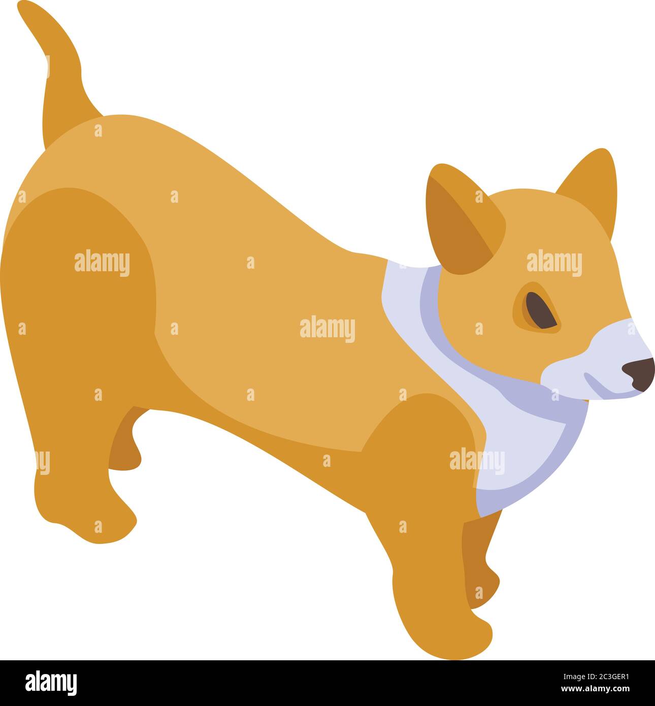 Funny corgi dog icon, isometric style Stock Vector
