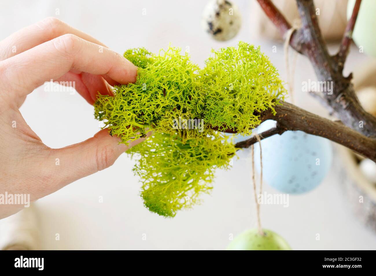 Florist at work: woman shows how to make Easter decoration in tree shape with hanging eggs. Step by step, tutorial. Stock Photo