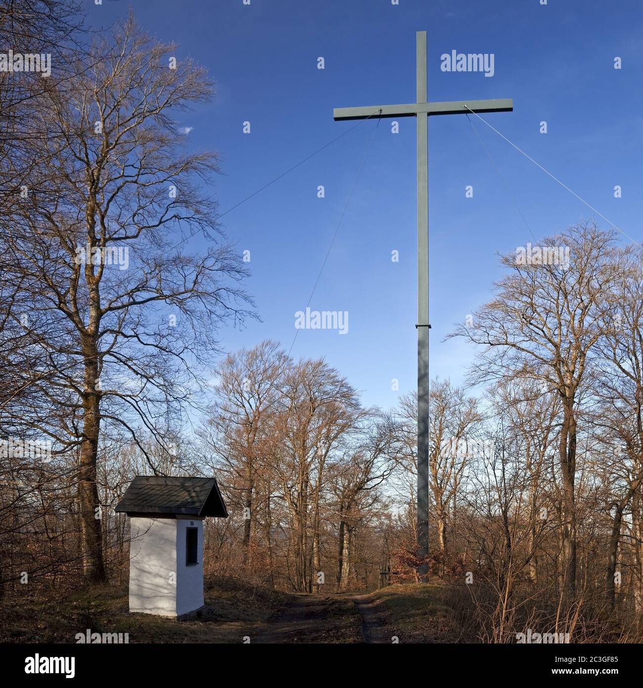 New high cross on the Wilzenberg, place of pilgrimage, Grafschaft, Schmallenberg, Germany, Europe Stock Photo