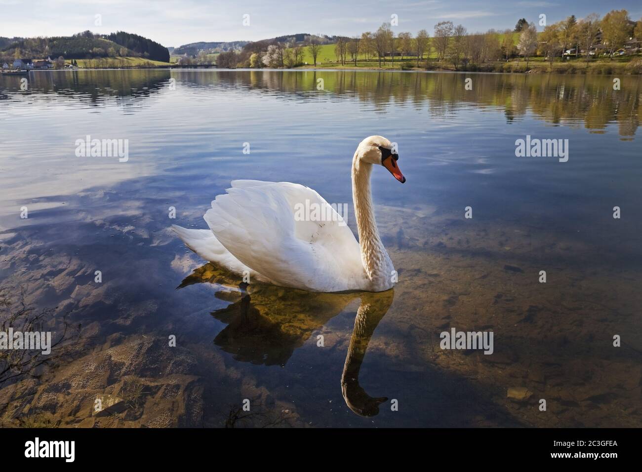 Former Augustinian monastery Ewig in spring, Attendorn, North Rhine-Westphalia, Germany, Europe Stock Photo