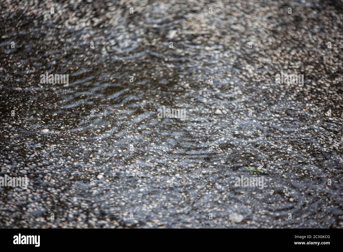Asphalt with falling rain drops Stock Photo Alamy