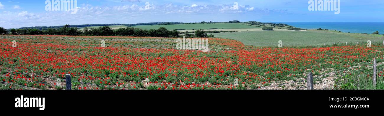 View of England Coast Path a section at St Margaret's at Cliffe Kent Stock Photo