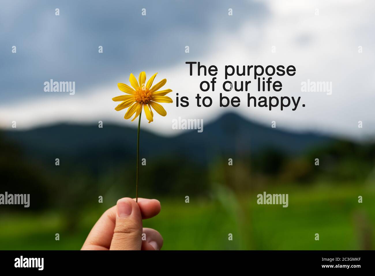 Inspirational quotes - The purpose of our life is to be happy ...
