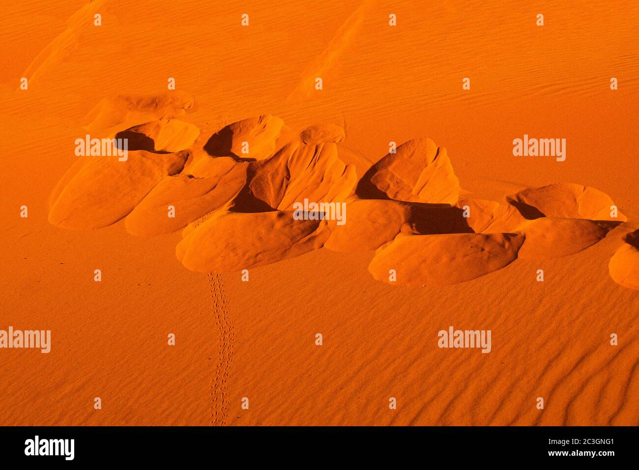 Dunes in the Sahara desert (Merzouga/ Morocco) Stock Photo
