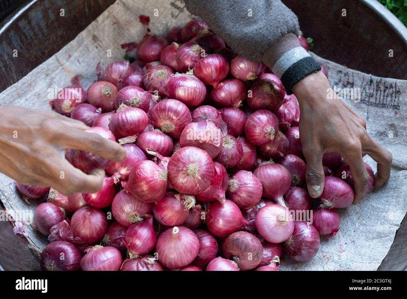 Vendor setting up a pile of onions. Khanderao Market is a sprawling market complex housing fruits, vegetables, flowers and other items. Khanderao Mark Stock Photo