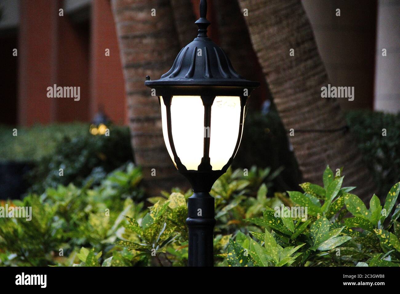 Leaves lit street lamp hi-res stock photography and images - Alamy
