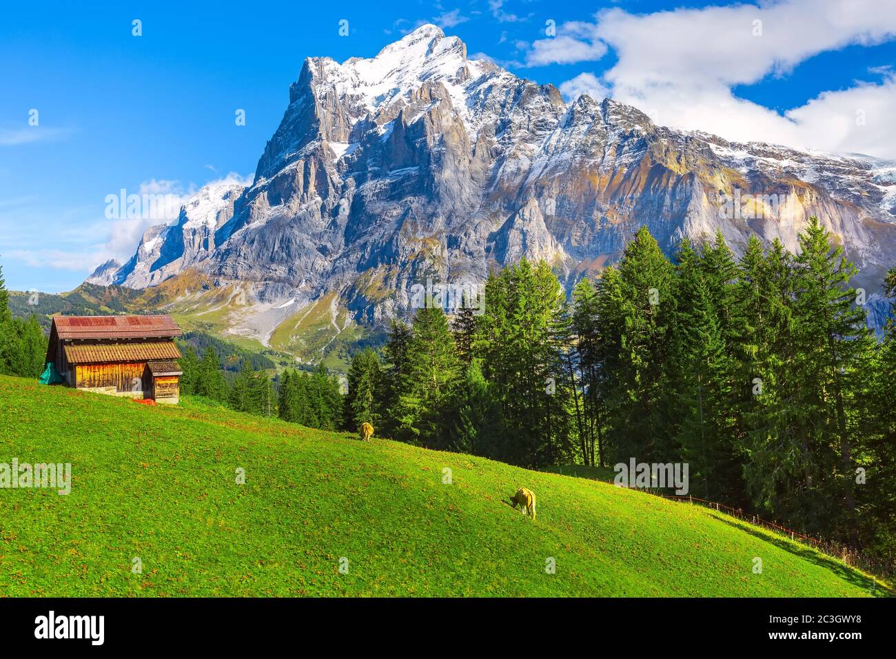 Grindelwald, Switzerland village and mountains view Stock Photo Alamy