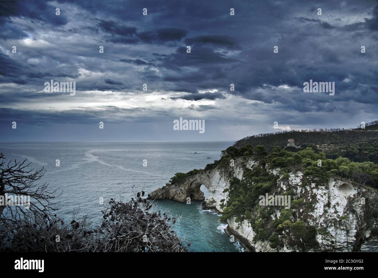 Cliffs covered in greenery surrounded by the sea under a stormy sky ...
