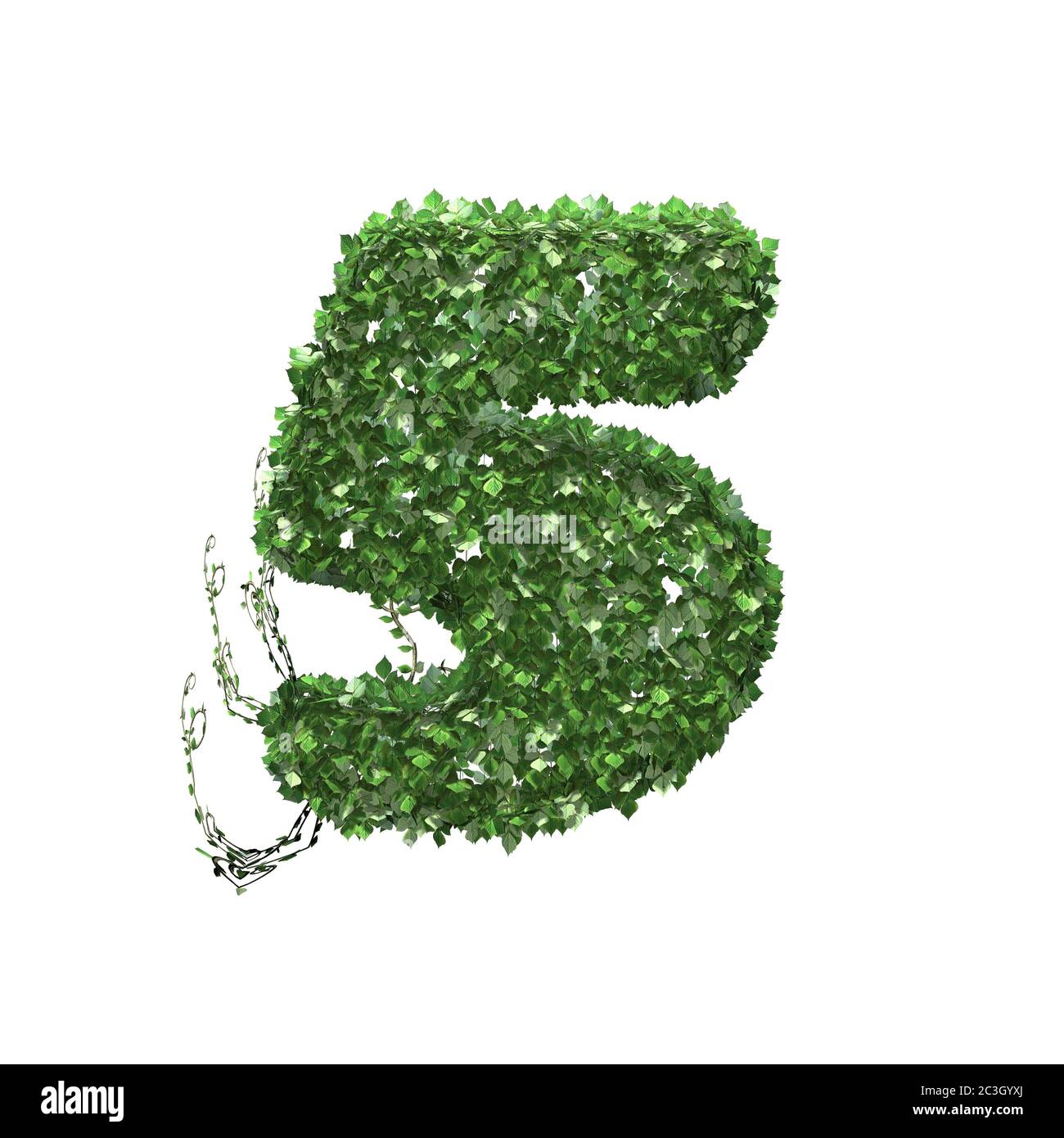 Number 5 created of green ivy leaves - isolated on a white background ...