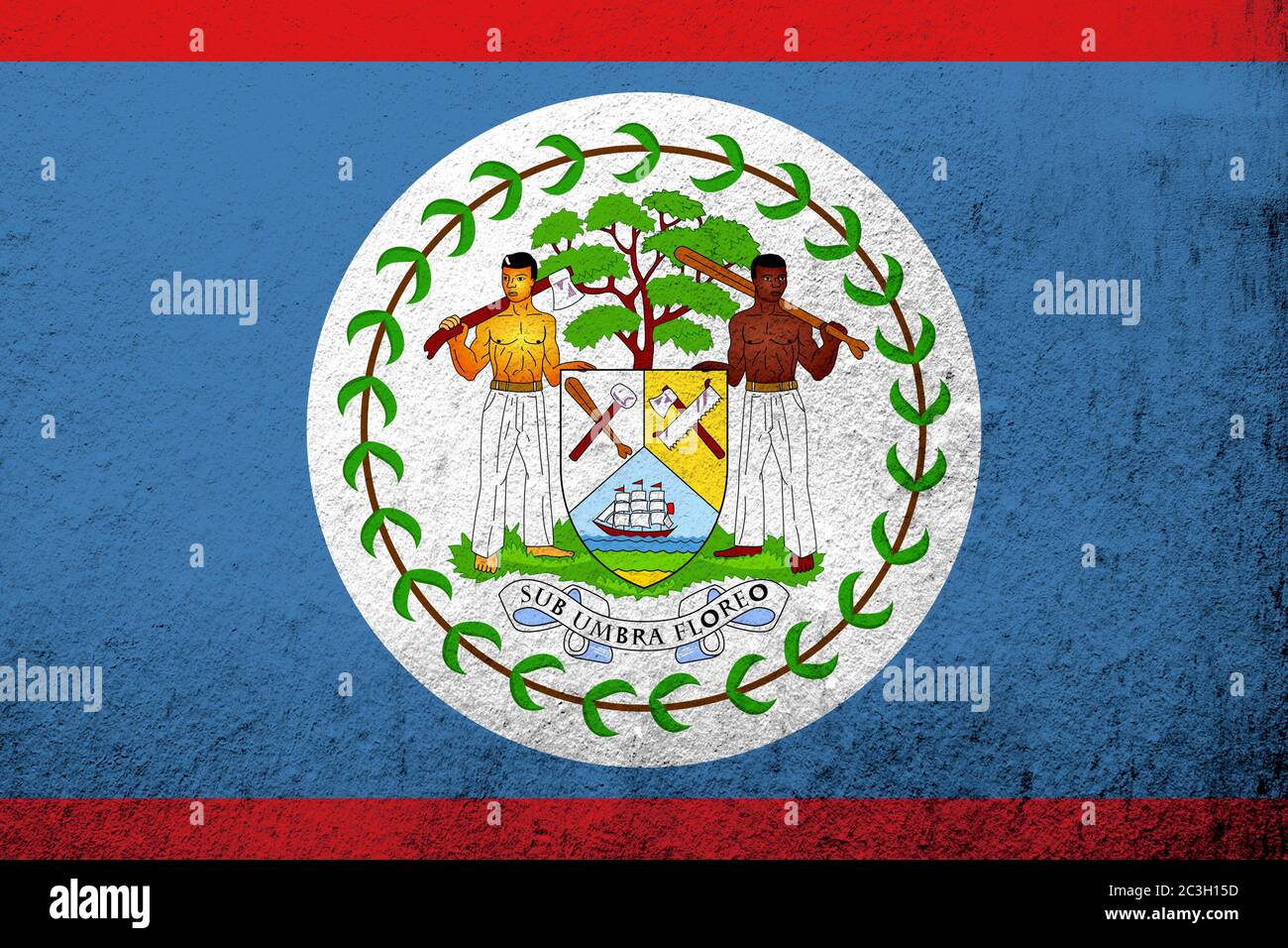 National flag of Belize with coat of arms. Grunge background Stock