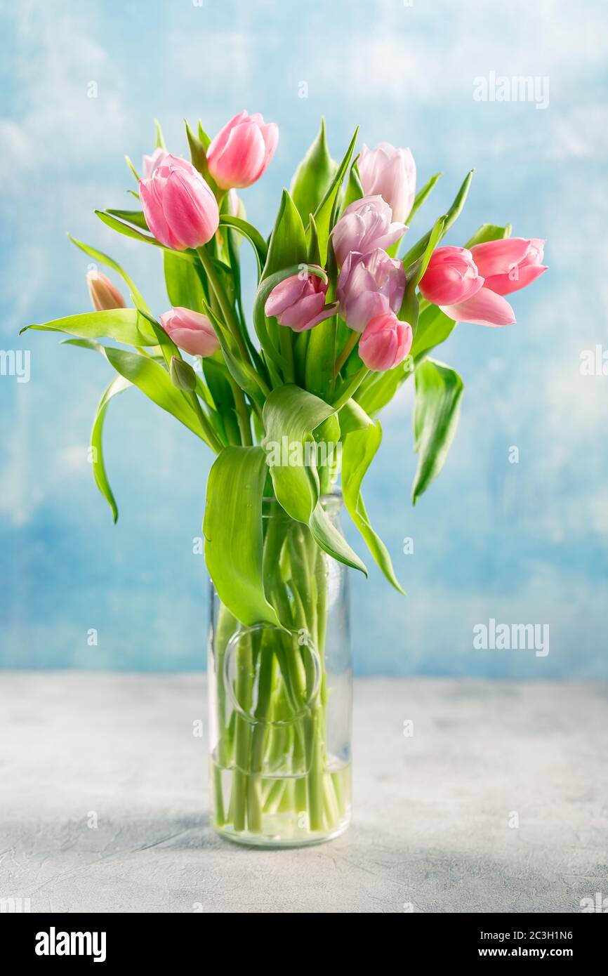 Bouquet of pink tulips Stock Photo