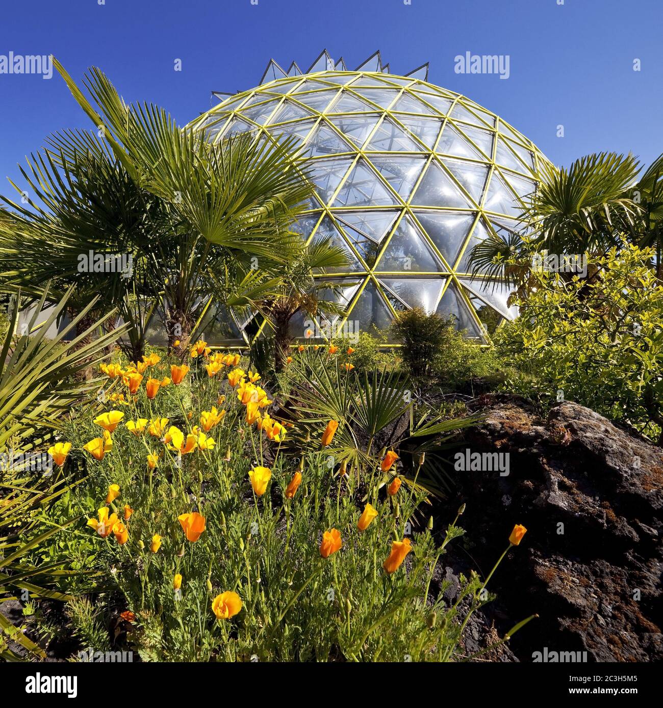 Botanical garden of the Heinrich Heine University with greenhouse dome,  Duesseldorf, Germany, Europe Stock Photo - Alamy