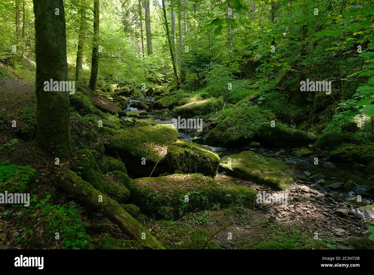 Fuchsklinge hi-res stock photography and images - Alamy