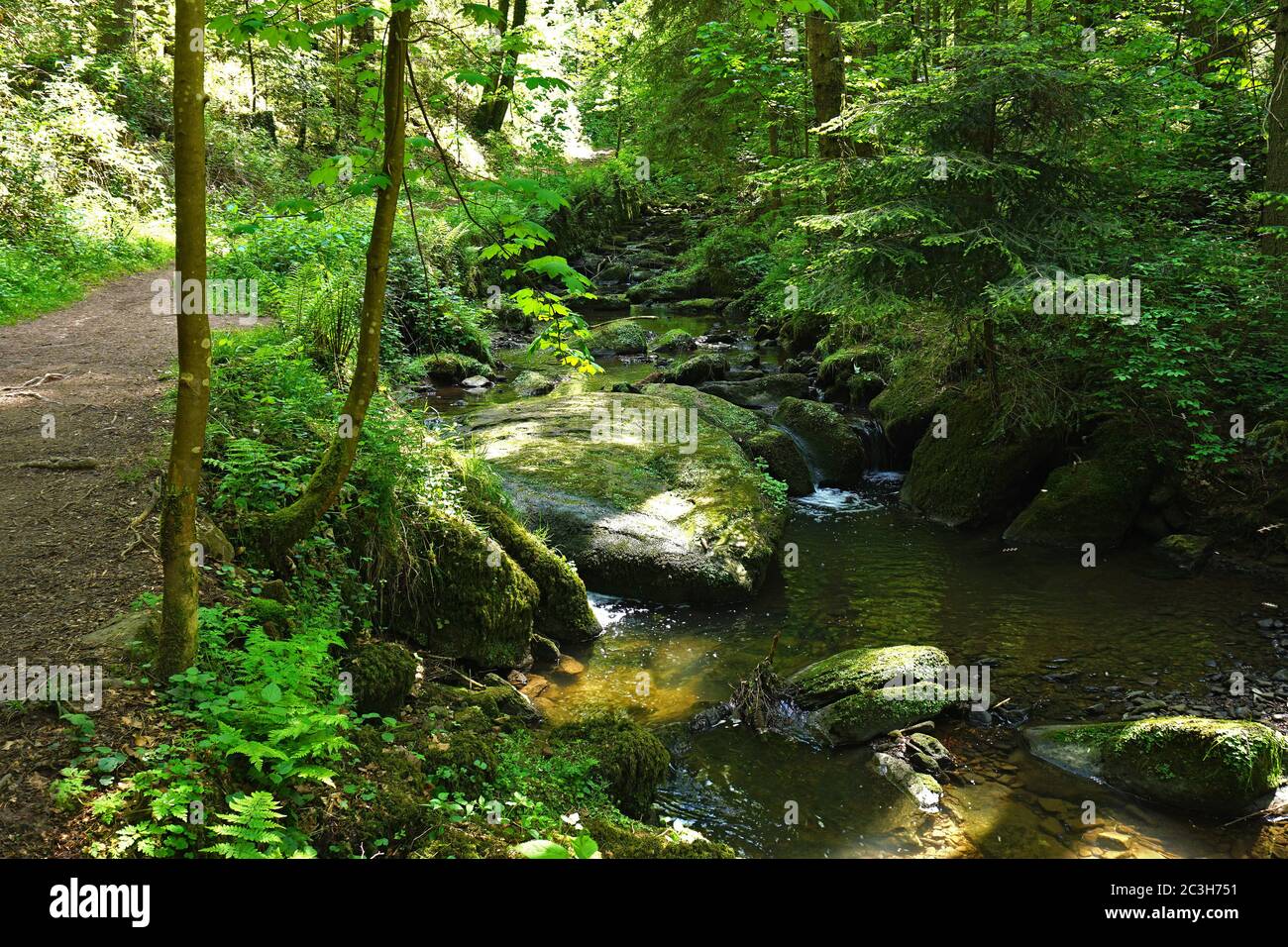 gorge near Calw-Hirsau in the black forest, germany Stock Photo
