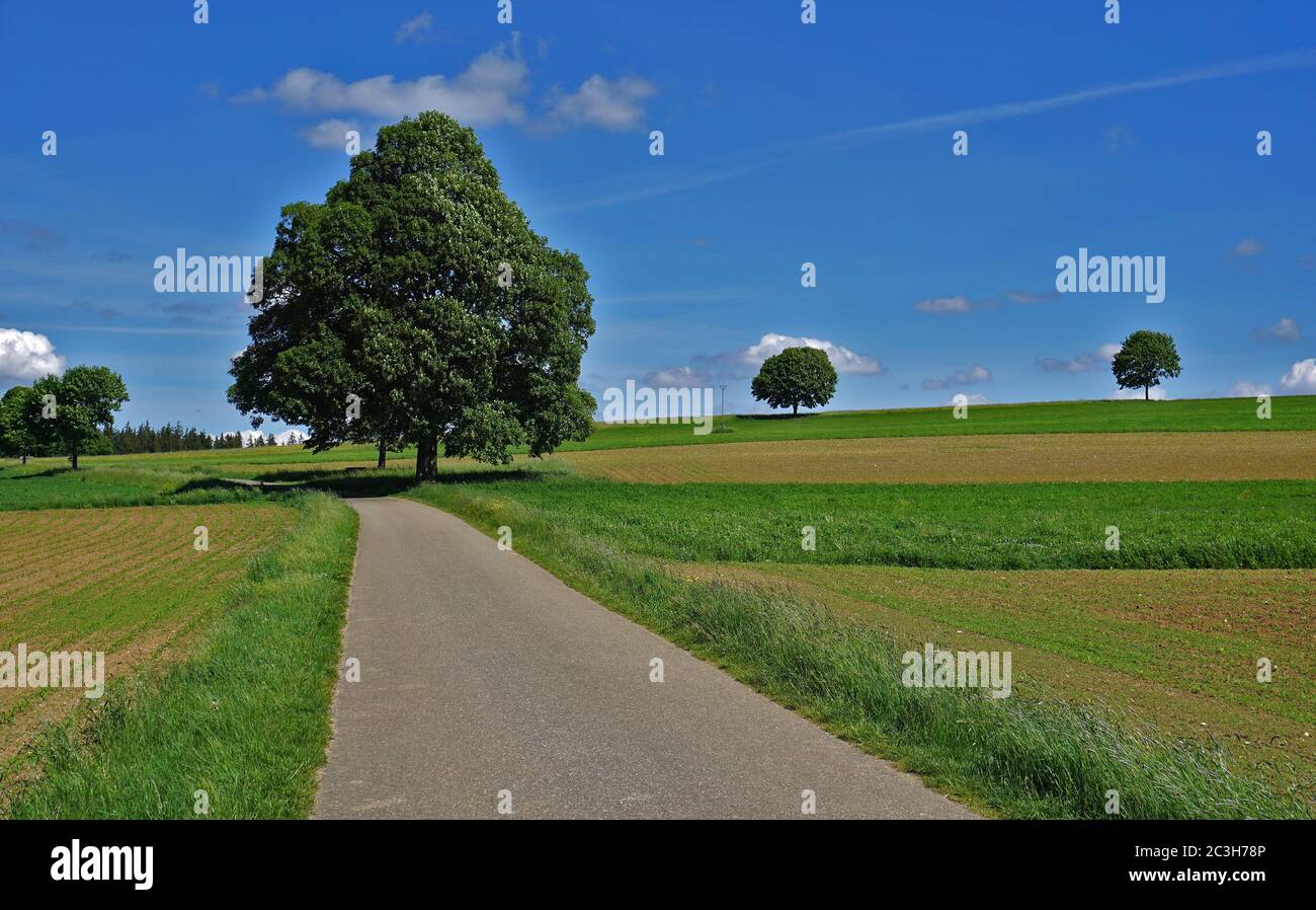 landscape on the swabian alb, germany Stock Photo