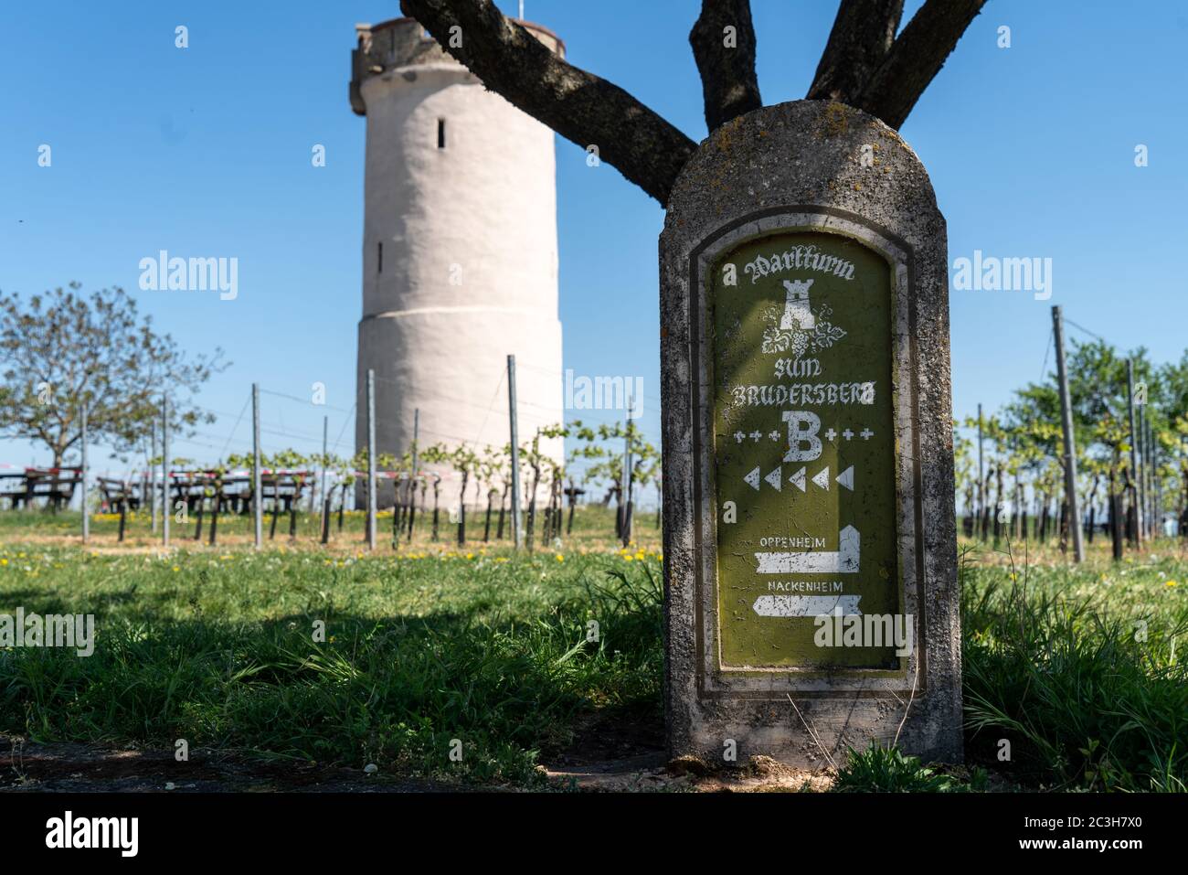 Historic watchtower in the vineyards near Nierstein Stock Photo