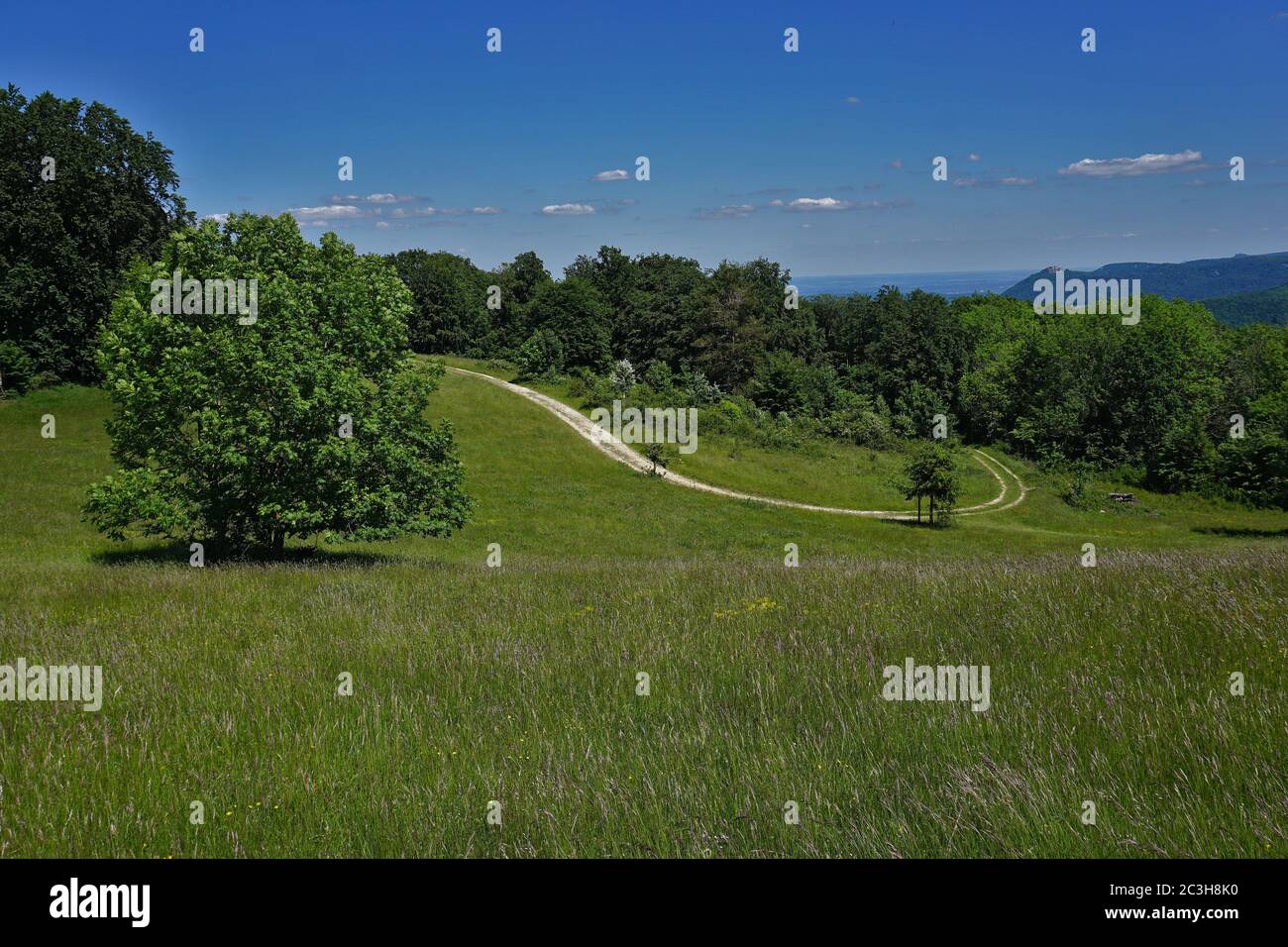 swabian alb, landscape, view to the castle Hohenneuffen Stock Photo