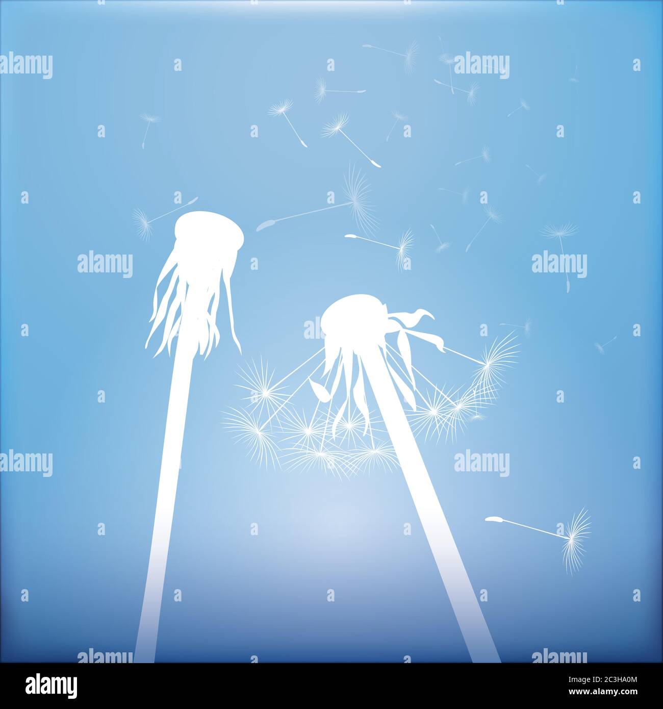 Dandelion on colour background. Vector illustration. EPS file. Stock Vector