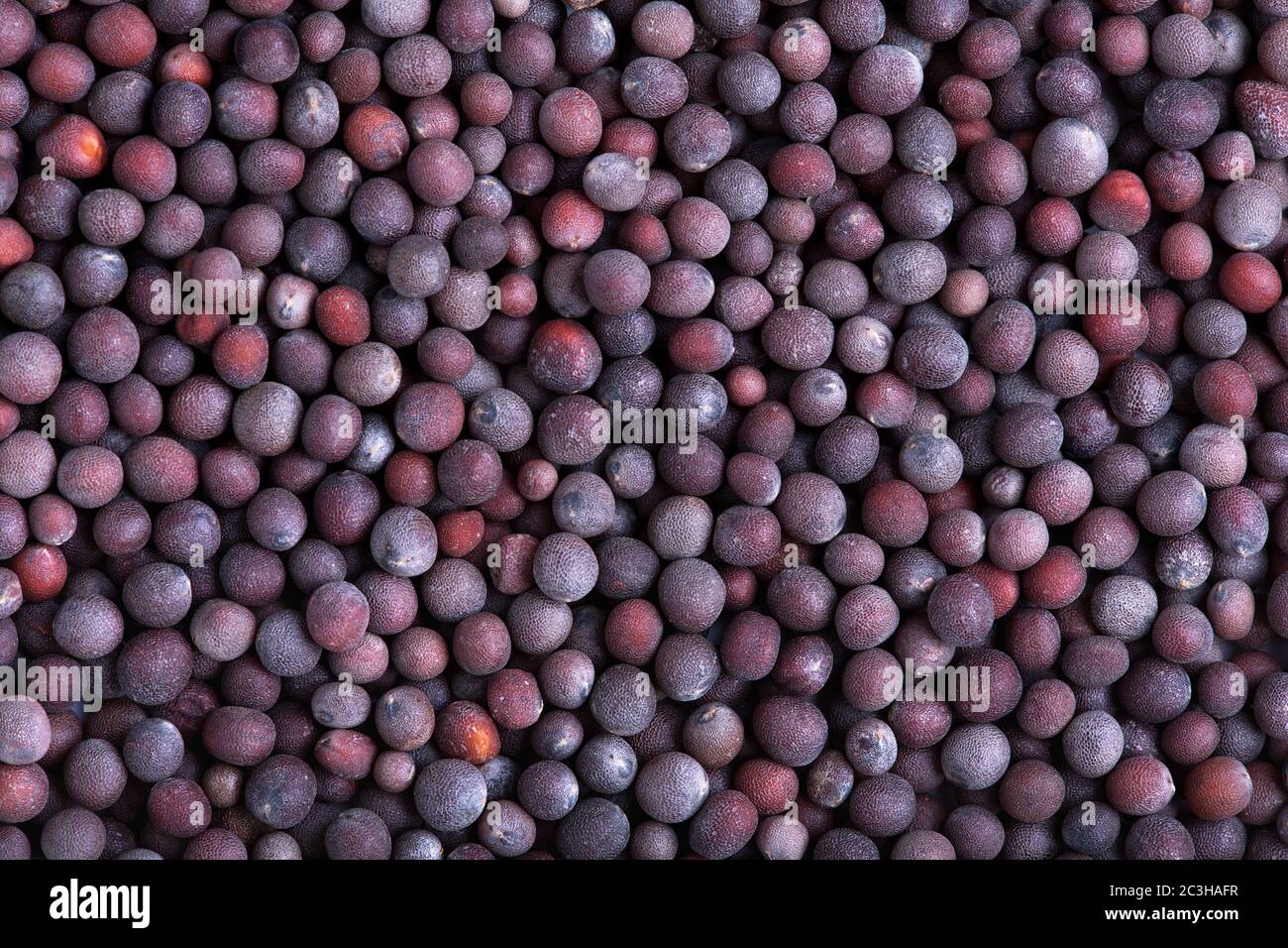 Black mustard seed background Stock Photo Alamy