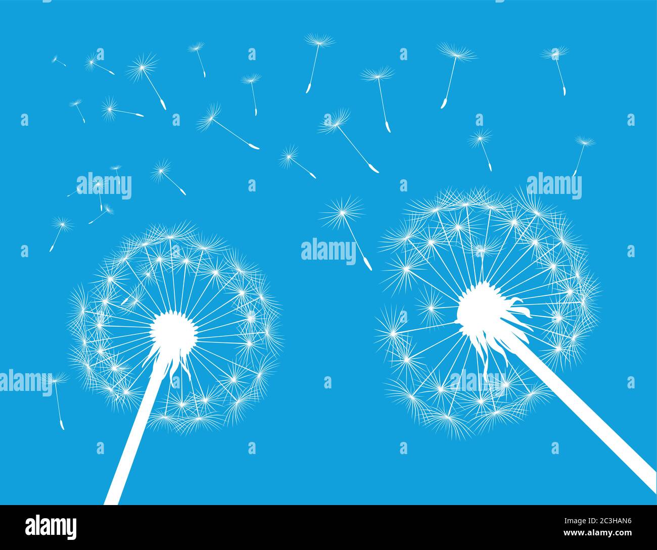 Dandelion on colour background. Vector illustration. EPS file. Stock Vector
