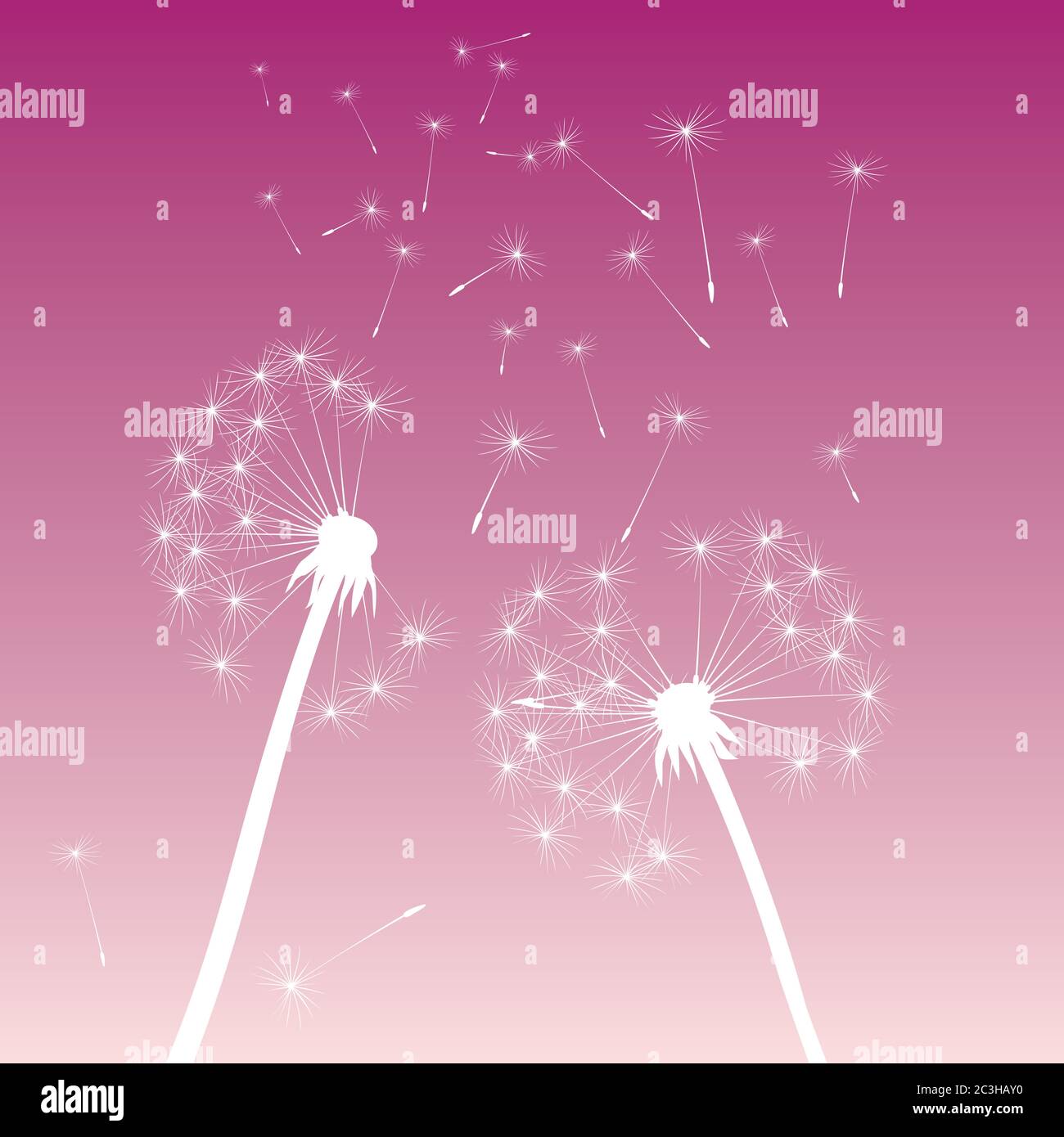 Dandelion on colour background. Vector illustration. EPS file. Stock Vector